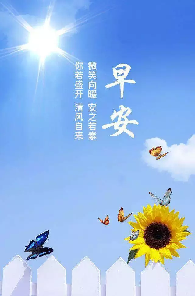 微笑向暖，安之若素；你若盛开，清风自来！