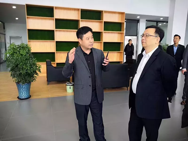 解密比亚迪e网