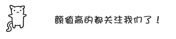 灰色贵宾犬为什么那么贵？网友直言：“水太深”了