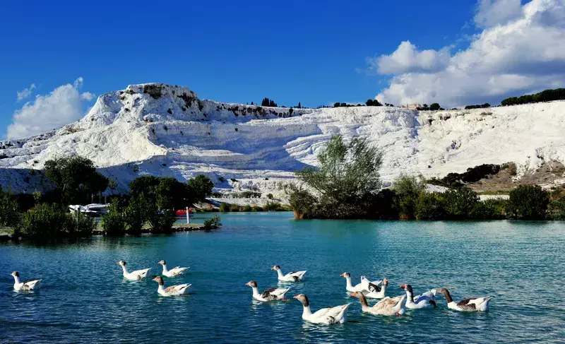 冬日遗产汤，泡吗？