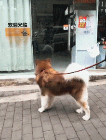 妹子在车上做出不雅行为，我该怎么去制止她