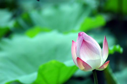 安徽财经大学 西安财经大学 比较