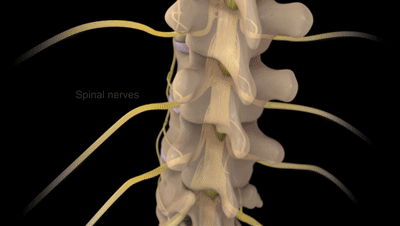 6个缓解腰椎间盘突出的伸展运动，避免7个训练，强壮腰椎不踩雷
