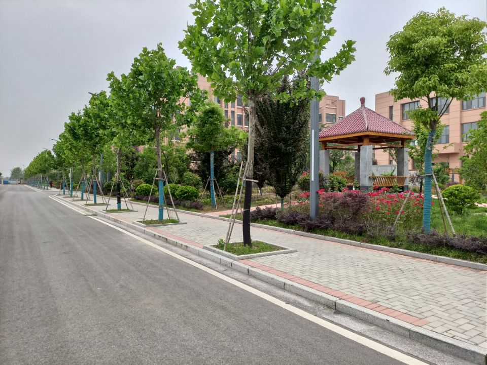 阜阳一所民办中学2021年高考成绩超越很多公办省示范高中