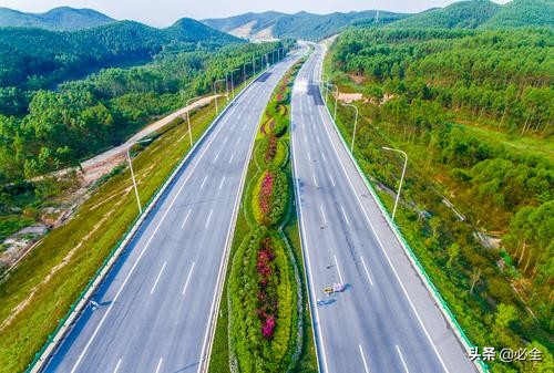 适合高速公路护坡的灌木都有哪些?