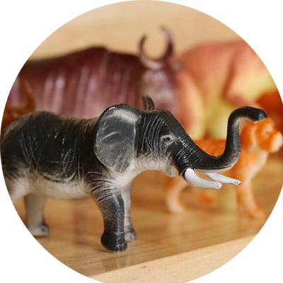 心理沙盘（心理箱庭）