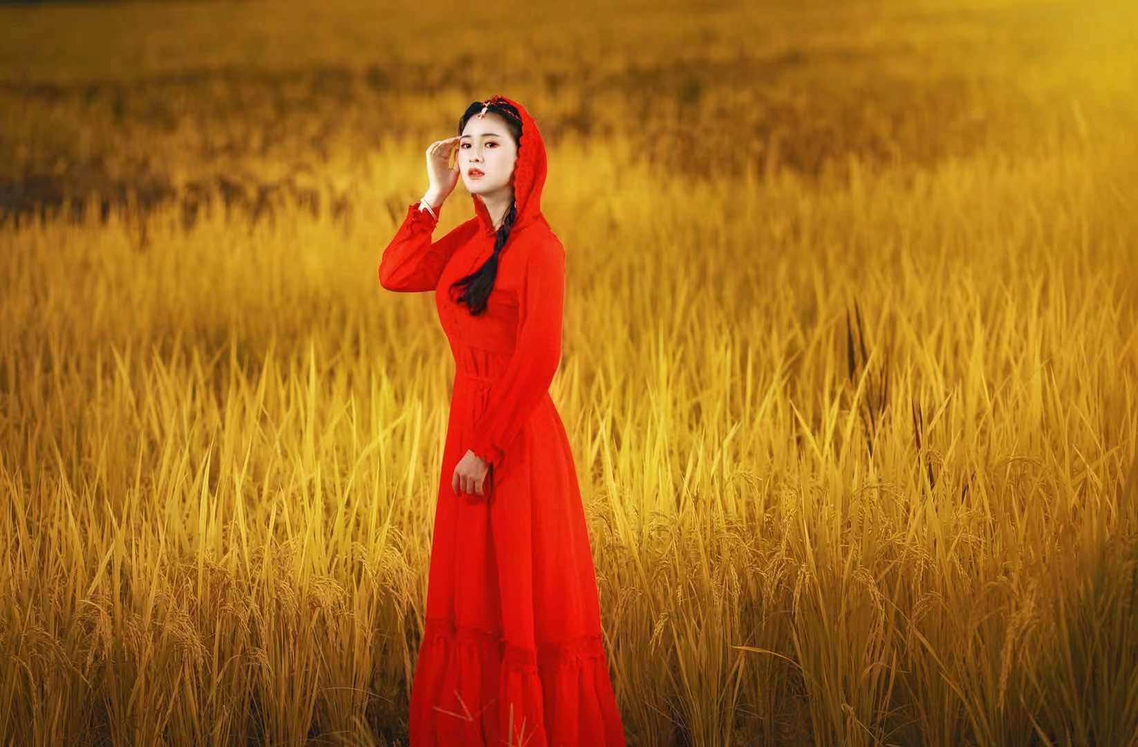 个人外景拍照图片大全(稻田中拍唯美人像) - 赤虎壹号