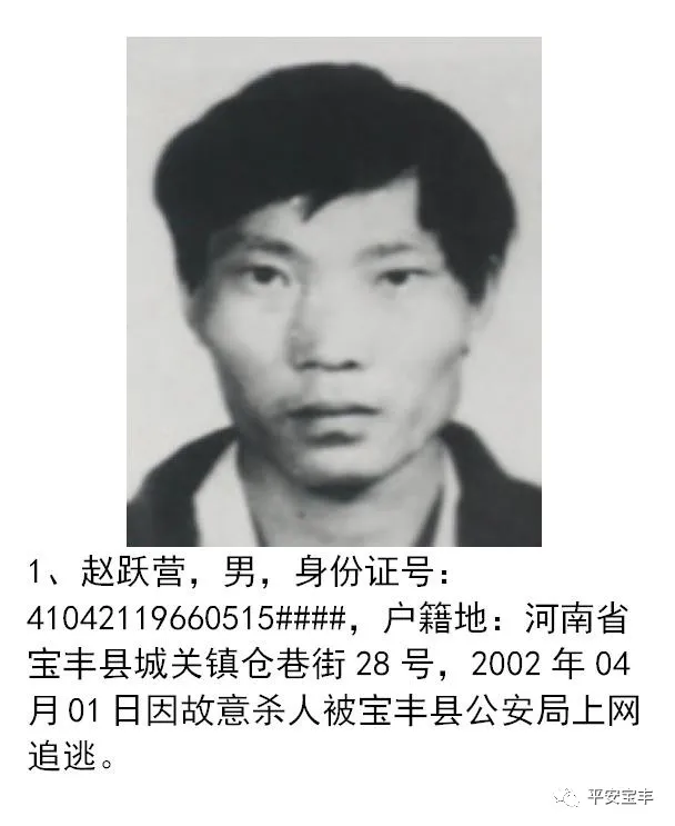 网上逃犯,网上逃犯名单查询系统