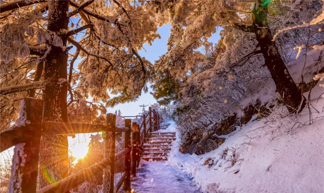 老君山冬季恋歌，不负初冬的旅行