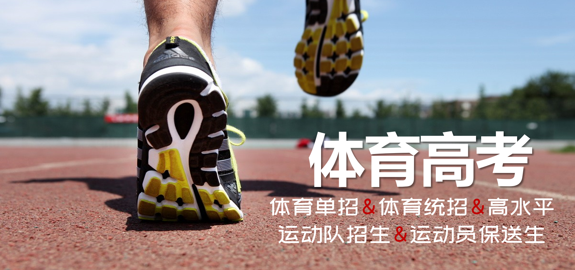 2017年高考体育统招（高考百科）