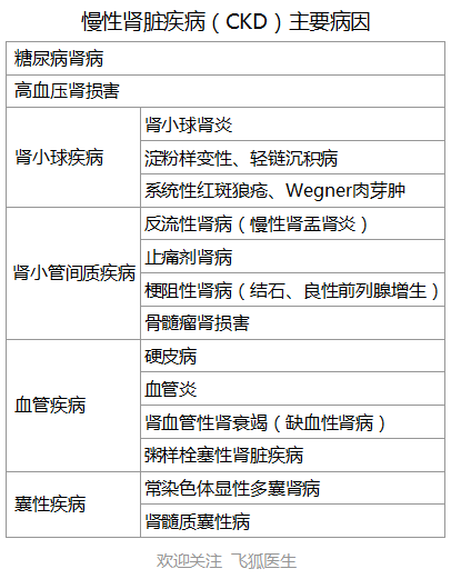 什么是肾衰竭？分类分期与治疗？6项措施保护肾脏