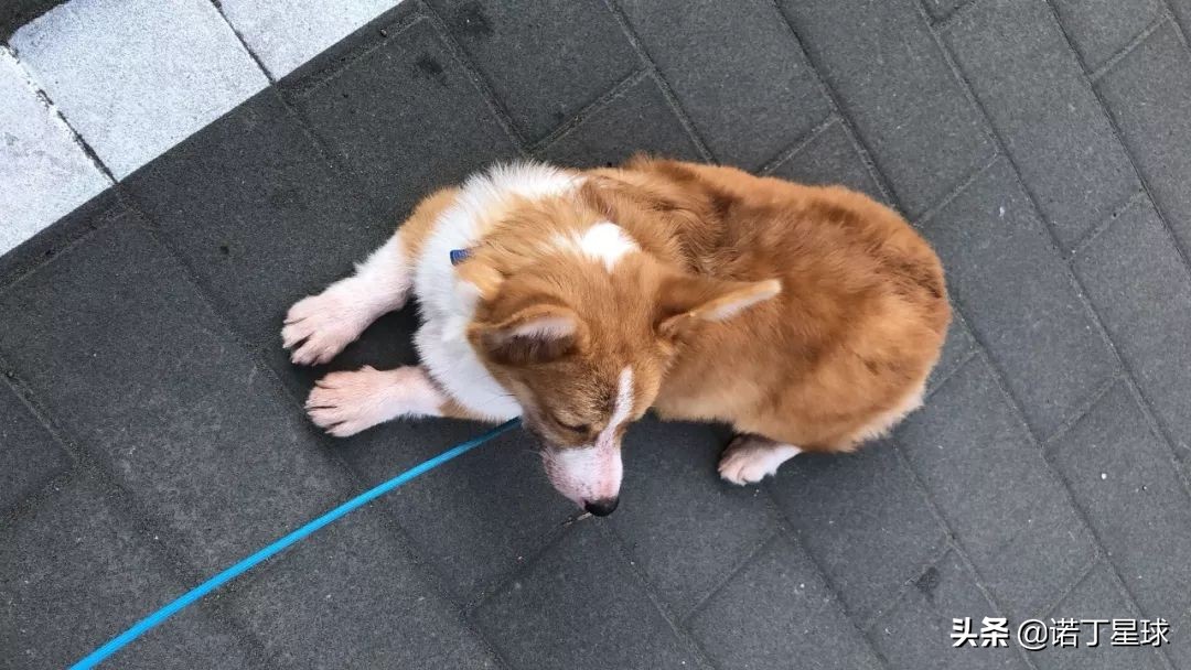 下早班的幽默瞬间：成长日记里的小确幸