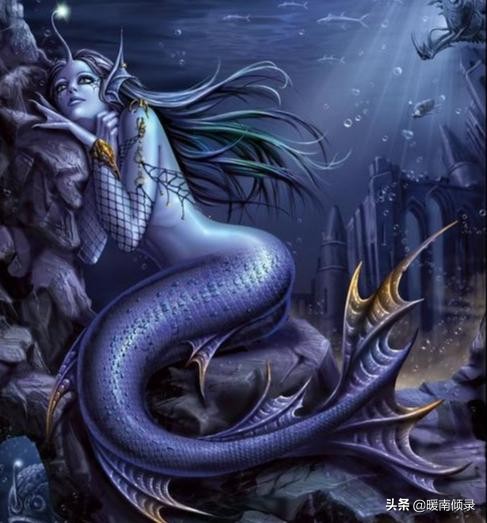 真正的鲛人图片(真正的鲛人长什么样)-图3