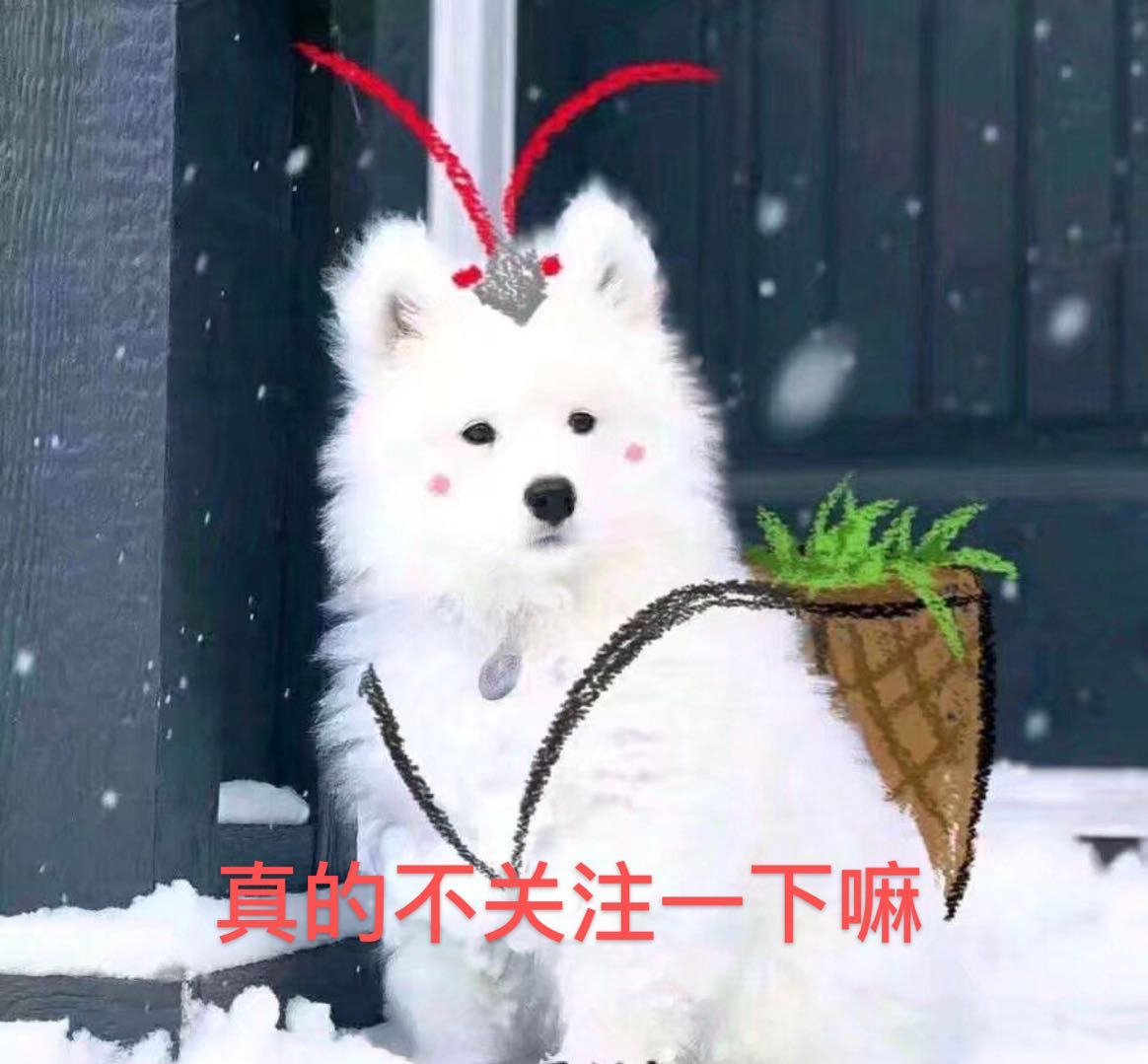 墨香铜臭被“正义审判”，皓衣行被连累或将停播，网友却拍手叫好