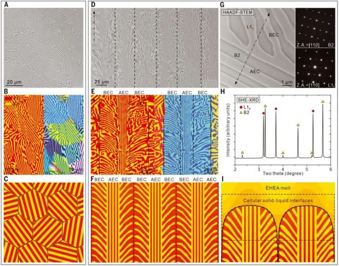 登上Science！上海科研团队成果：有望解决这一重大科学难题！