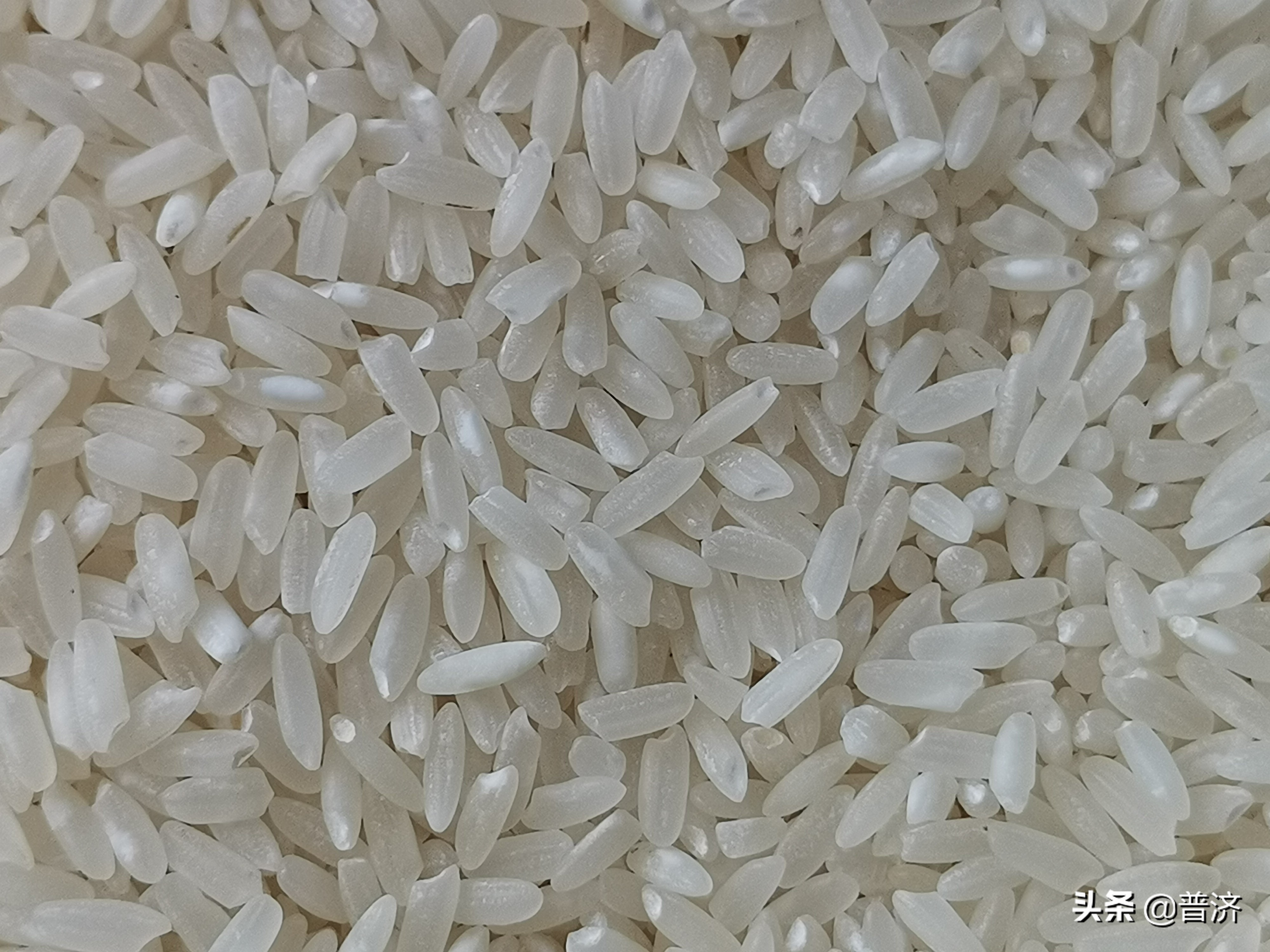 五常大米没真货，十家就有九家假？米还是那个米，只是被拼配了