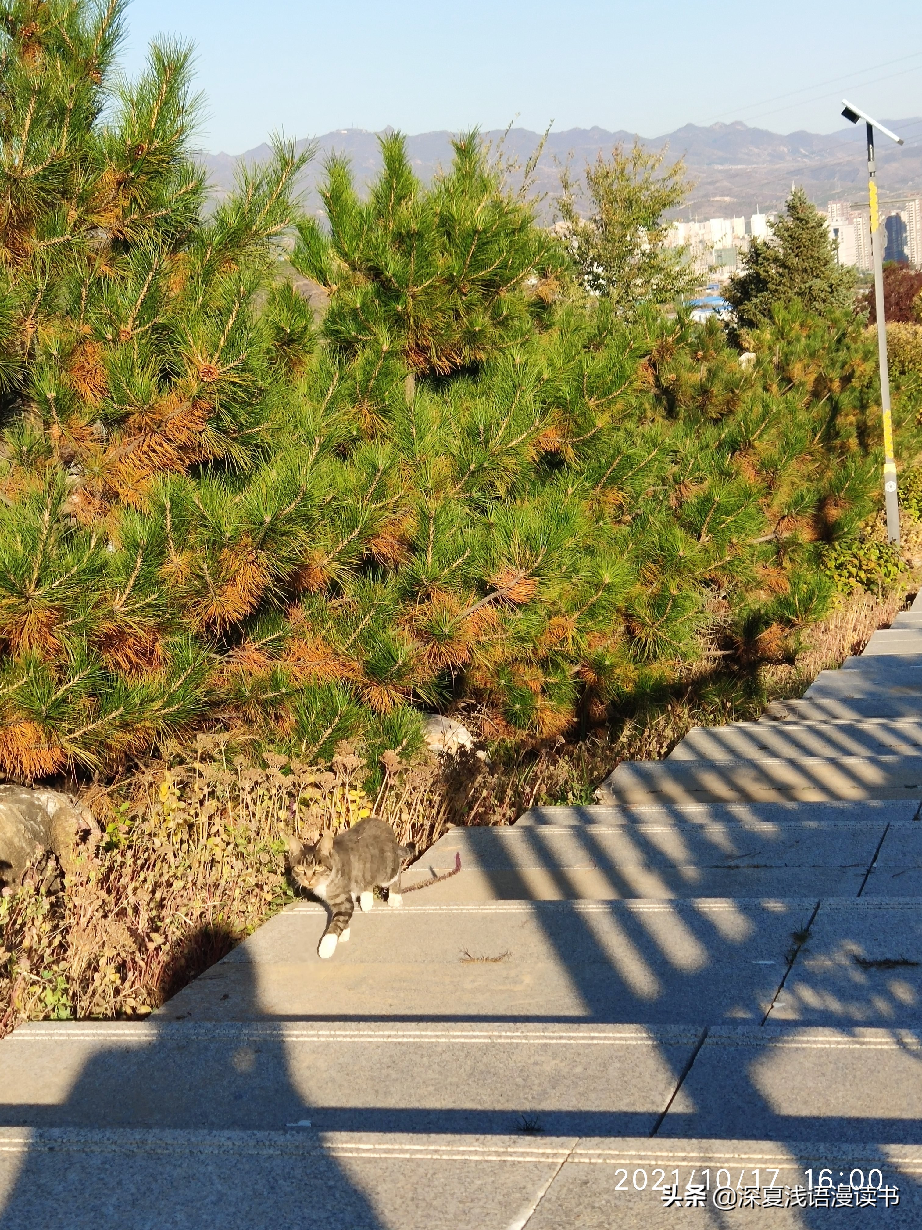 高中记18：学校纪律严格多数学生受益，想起中学某同桌恨意难消