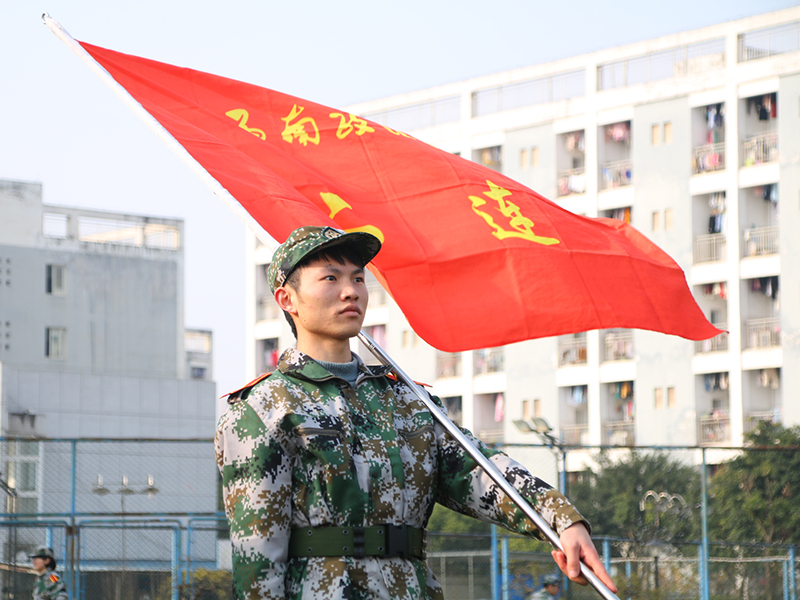 西政在川招278人，法学专业占59%，理科最低1.7万名以内