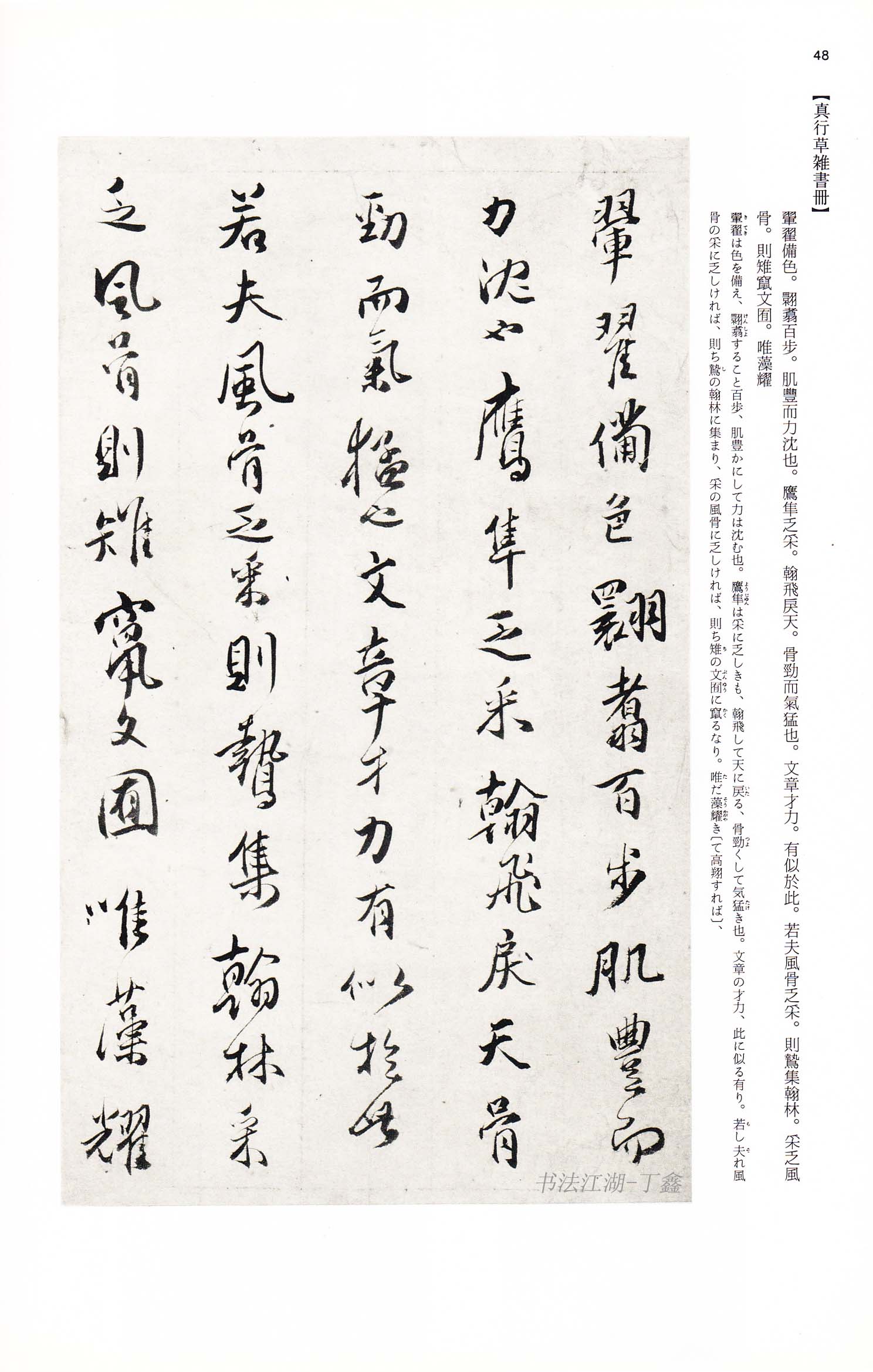 傅青主书法艺术赏析：大道孤冷我独醉，人间大志笔墨间