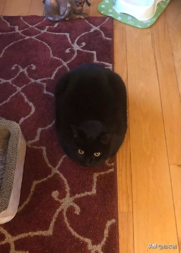 如何判断一个男生是直的？还是弯的？