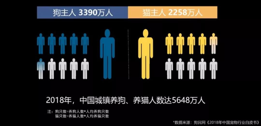 十大名猫闪亮登场，看看你最喜欢哪种