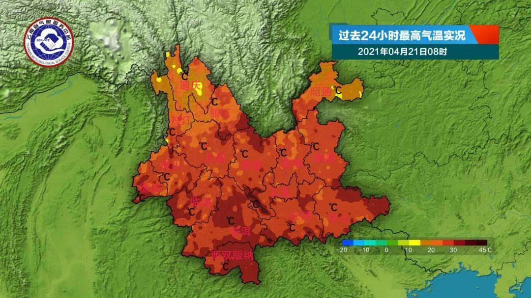 野象群一反常态，集体北迁，西双版纳到底发生了什么？