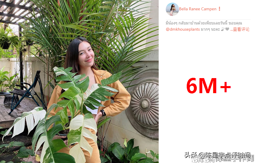 2020泰国娱乐圈IG粉丝量十大明星：三台泰剧当红女演员就瓜分六席