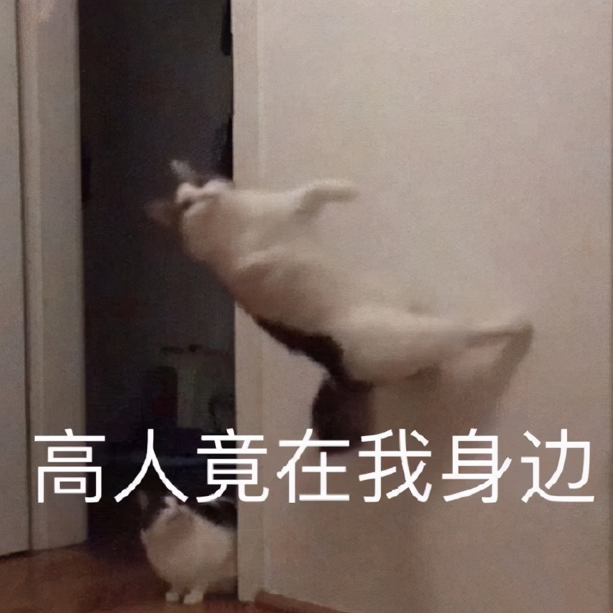 真实好评！质量超预期，发货迅速，包装完好，强烈推荐！