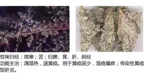 300个中草药图谱（附主治功效），知道一半就太牛了（上）