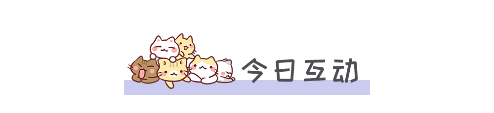 貓咪生產(chǎn)你必須要知道的 5 件事，請做好迎接新成員的準(zhǔn)備 