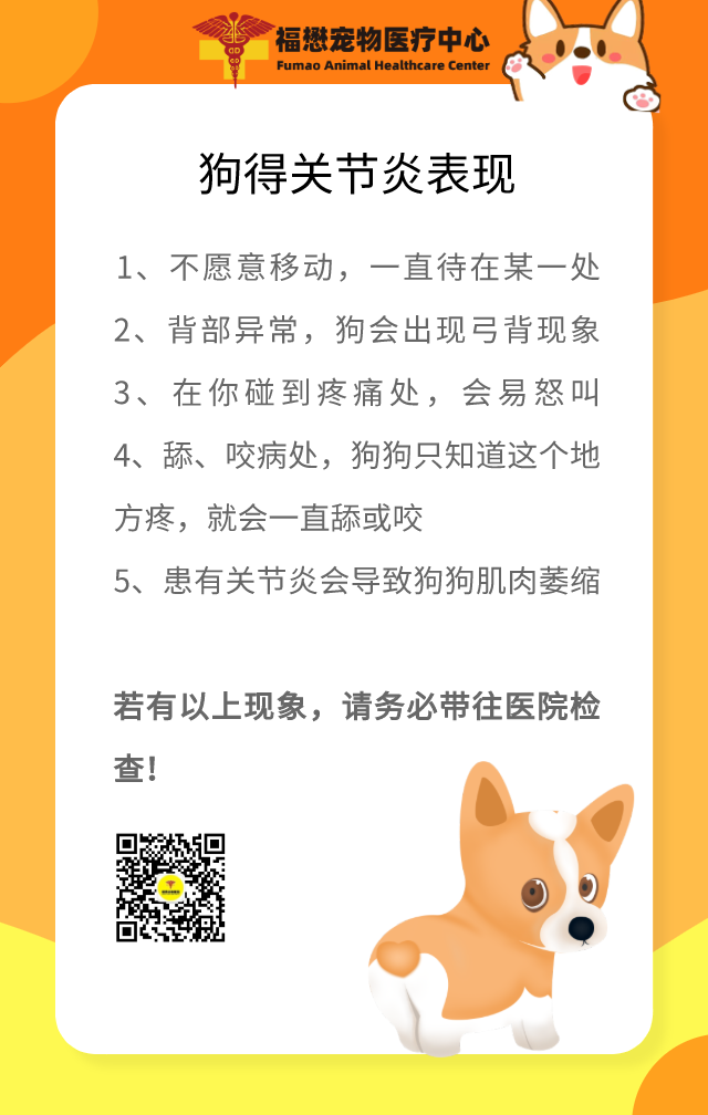 狗狗得關節炎表現 阿福和你們 Mdeditor