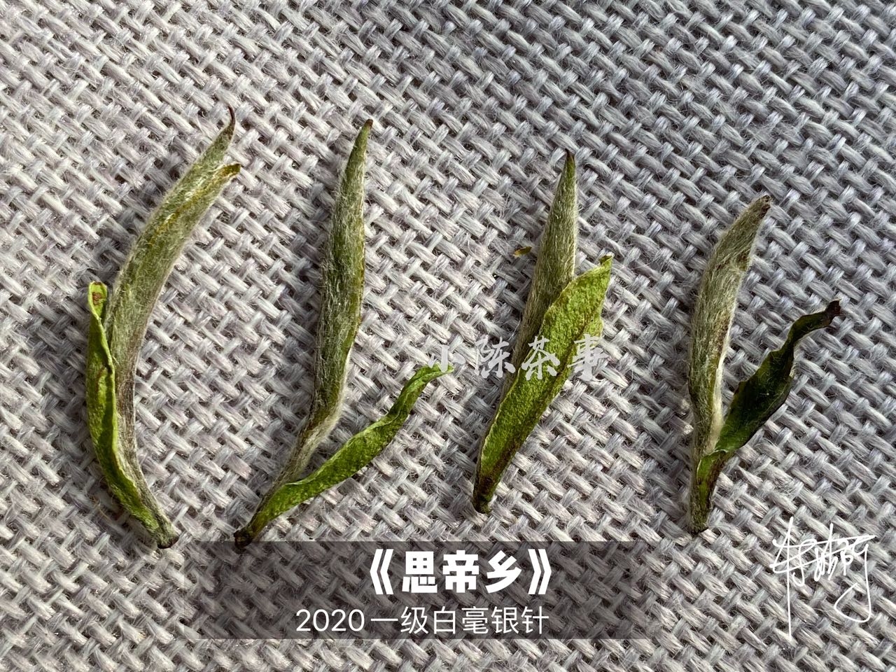 新手第一次买白茶，选什么比较好？白毫银针、白牡丹还是寿眉？