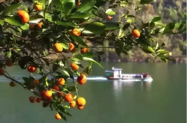陕南居然有一个"小香港"，长得像重庆，却还说着四川话