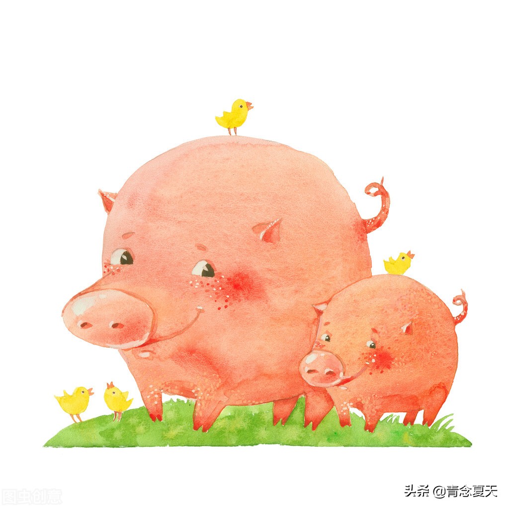 公猪和母猪的爱情故事图片 _飞翔号