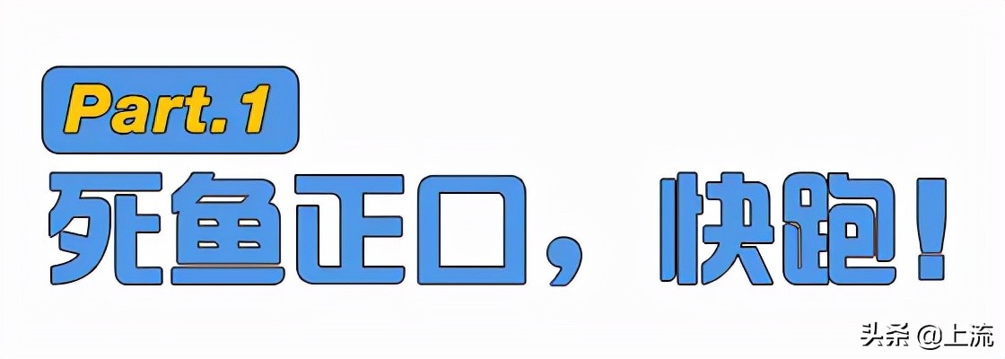 钓水鬼电影剧情是什么「解析」 _晶羽科技