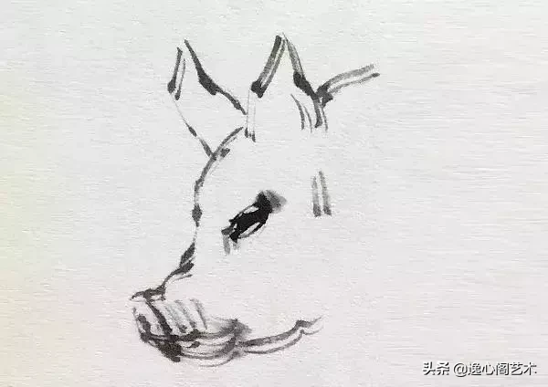 4个简单小步骤，画好猪，过好猪年