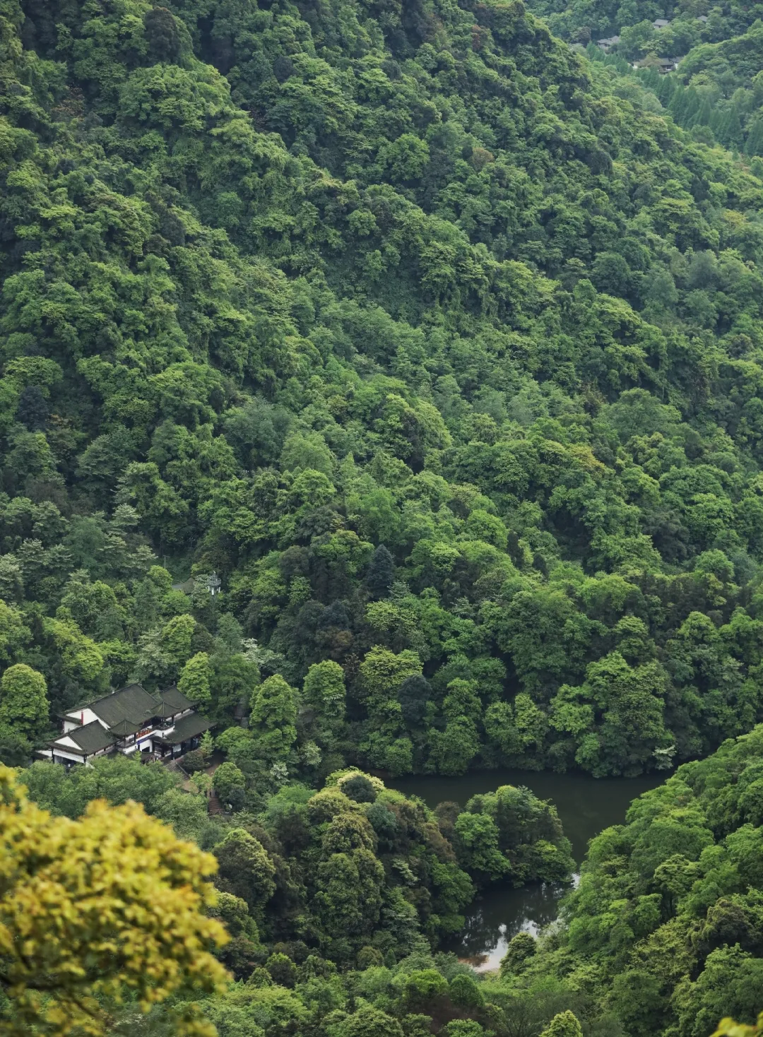 到青城山，解锁夏日最最最清凉的耍法