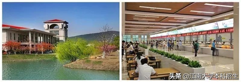 中国“最美”大学之一！占地3250亩，分布10万余棵植物，上学就像度假！