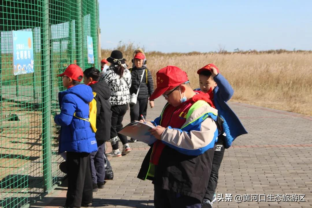 【黄河口生态旅游区】冬日暖阳 静享时光