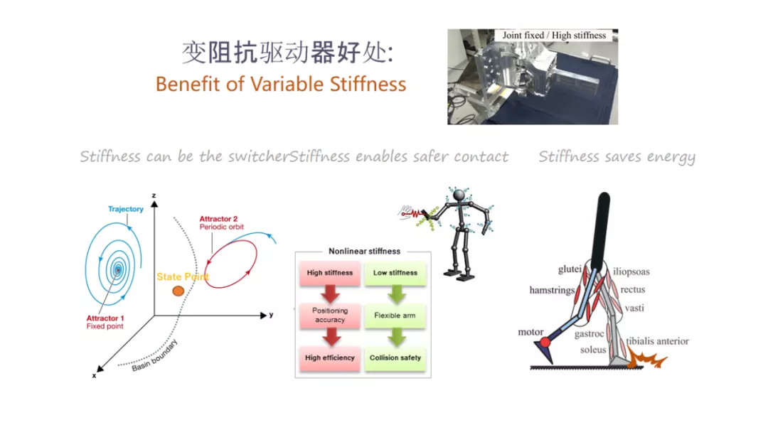 他曾是本田ASIMO机器人行走控制团队唯一中国研究员，携十年研发经验归国，力争让双足机器人比肩美日德