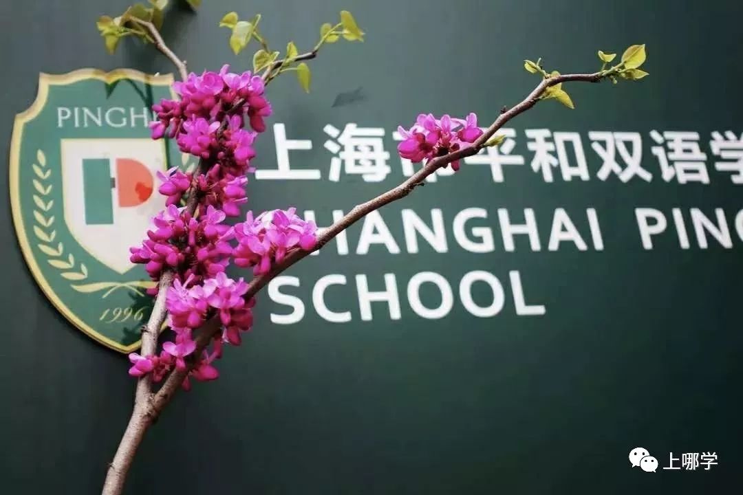 上海10所国际化双语学校！全部招收中国国籍，第一所升学数据惊人