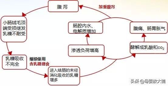 秋季腹泻即将爆发，轮状病毒发病过程和护理方法早知道，不慌乱