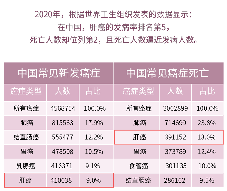 养肝就是养命！盘点3大「养肝食物」，吃对一个，肝脏也来感谢你