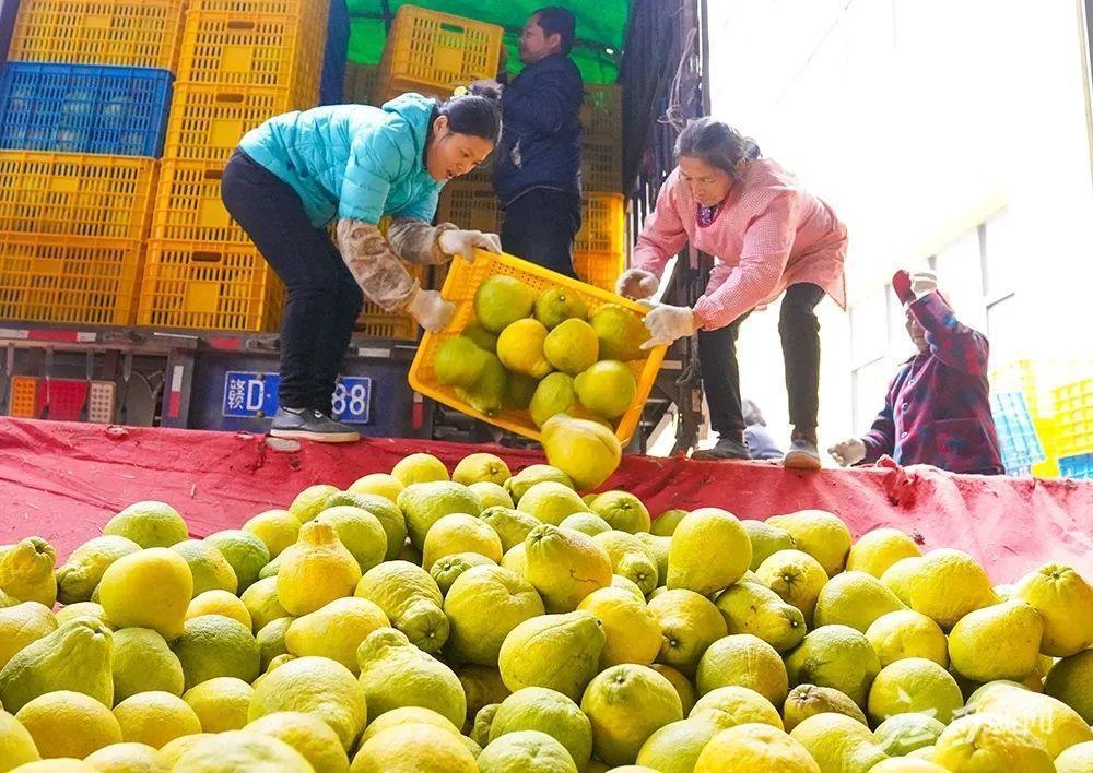 区块链农产品溯源-实现农产品全程溯源