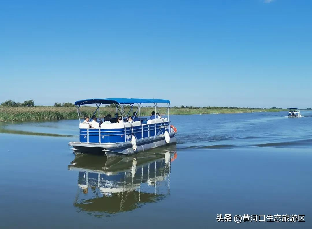 【黄河口生态旅游区】我已最美 欢迎回家