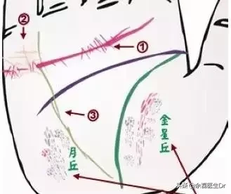 24种手诊图，揭示你的身心健康