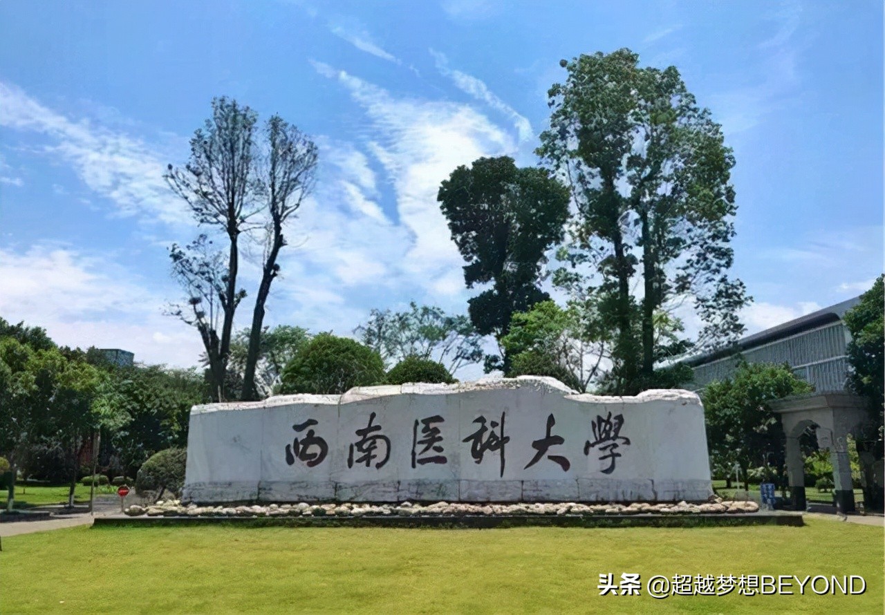 西南医大、川北医学院2021年重庆市本科批各专业录取分数统计