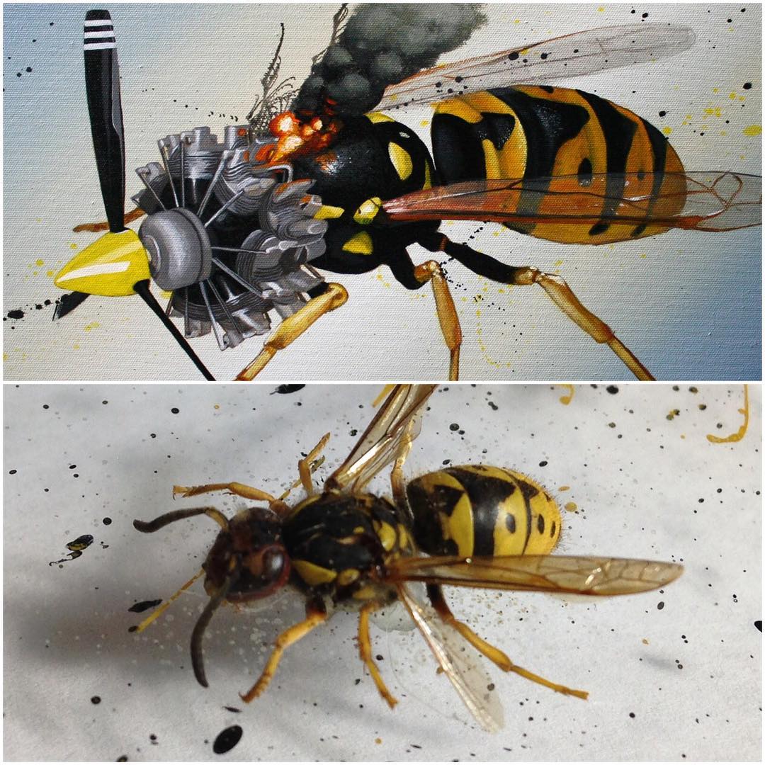 蜜蜂总动员电影观后感精练86句