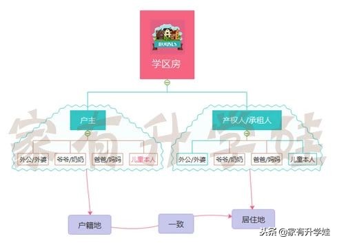 扫盲丨幼升小入门必须知道的11个名词和暗语！