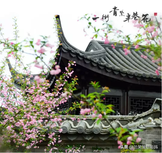 诗情桃花源 | 此生，只为你盛开这朵桃